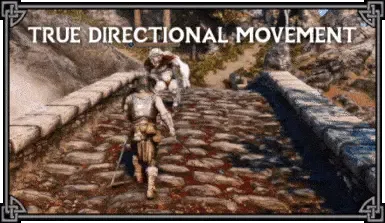 True Directional Movement - 现代化第三人称玩法 封面