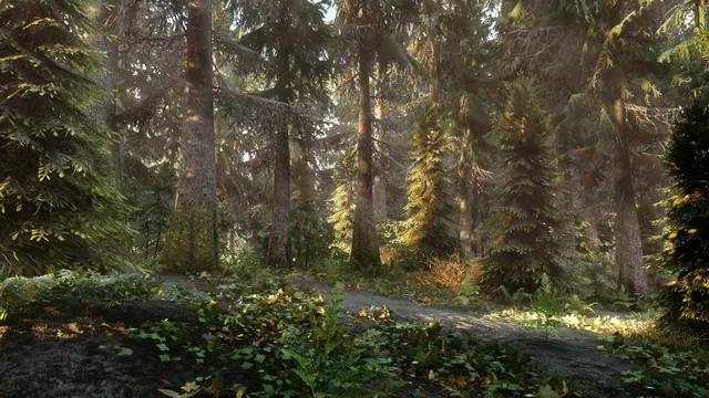 Skyrim Flora Overhaul SE 封面