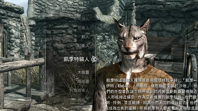《上古卷轴5:天际 特别版》非官方中文翻译 封面