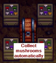 Automate 封面